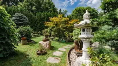 Nowa galeria - zdjęcie 73