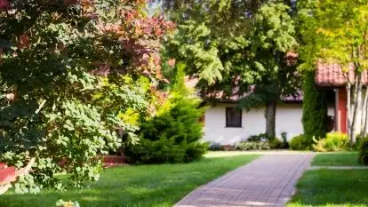 Hotel *** Ognisty Ptak - zdjęcie 8