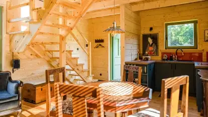 Nowa galeria - zdjęcie 39