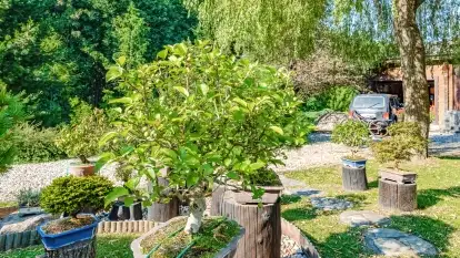 Nowa galeria - zdjęcie 42