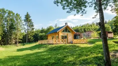 Nowa galeria - zdjęcie 2