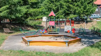 Ośrodek Wypoczynkowy Łabędzi Ostrów - zdjęcie 24