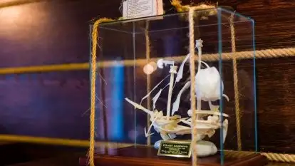 Tawerna Albatros - zdjęcie 18