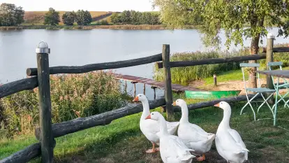 Karczma Stary Młyn - zdjęcie 14