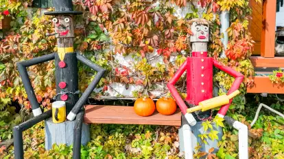 Hotelik Stary Młyn - zdjęcie 15