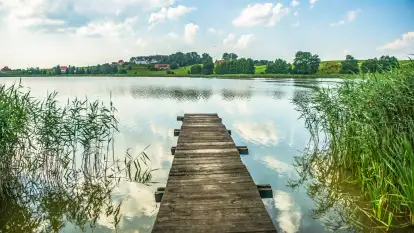 Hotelik Stary Młyn - zdjęcie 24