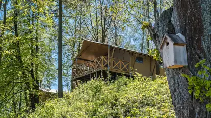 Glamila - Wioska Wakacyjna - zdjęcie 64