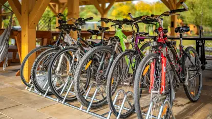 Villa Mazuris - zdjęcie 33