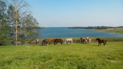 Herrmanns Hof - zdjęcie 24