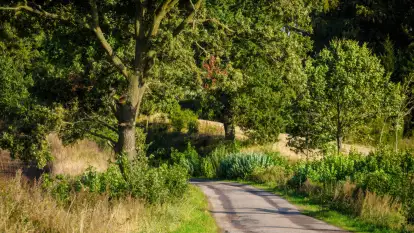 Dworzec Cesarza Wilhelma - zdjęcie 29
