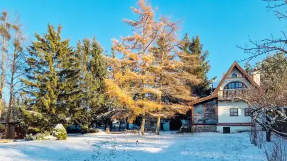 Jeziorowskie16 - zdjęcie 27