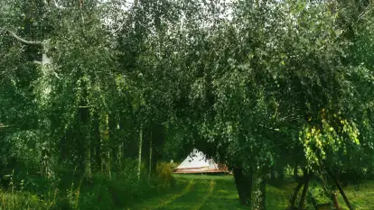 Miła Łąka Glamping - zdjęcie 14
