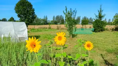 Świerkowe Siedlisko - zdjęcie 13