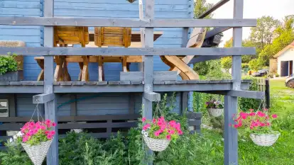 Świerkowe Siedlisko - zdjęcie 10