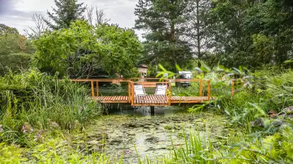 Gospodarstwo Agroturystyczne Marzena - zdjęcie 8