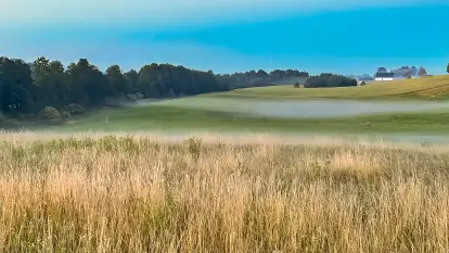 Oazie Żuraw - zdjęcie 18