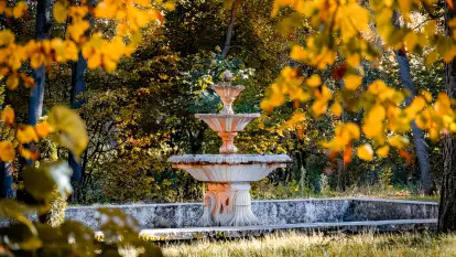 Rezydencja Parkowa - zdjęcie 6