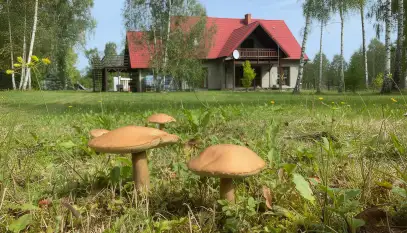 Anielski Zakątek - zdjęcie 16