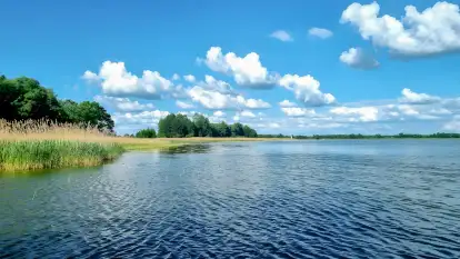 Zacisze Mazurskie - zdjęcie 47