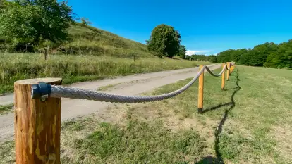 Polana Życzeń Glamping - zdjęcie 17