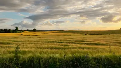 Polana Życzeń Camping - zdjęcie 17