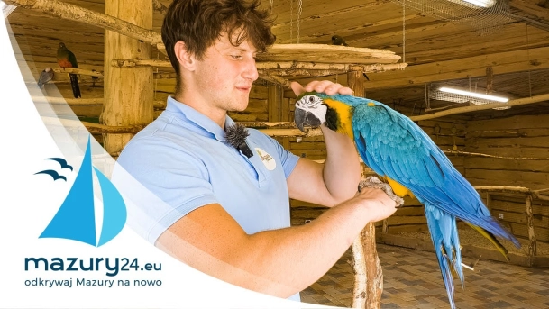 Atrakcje turystyczne na Mazurach, Papugarnia Wilkasy