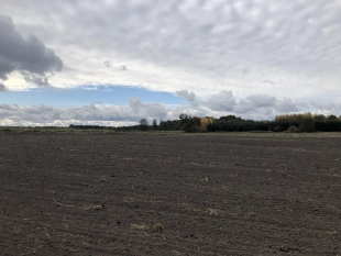 PROMOCJA !! Urokliwa działka budowlana w samym sercu Mazur! - zdjęcie 6