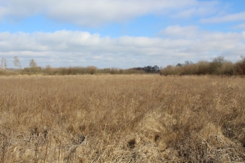 Działka rolna 4442 m2 blisko jeziora Białoławki - zdjęcie 9