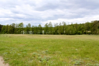 Działka z linią brzegową jeziora Wygryny w Wygrynach - zdjęcie 18