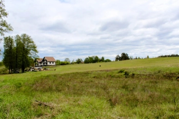 Działka z linią brzegową jeziora Wygryny w Wygrynach - zdjęcie 22