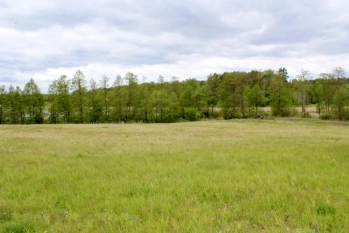 Działka z linią brzegową jeziora Wygryny w Wygrynach - zdjęcie 21