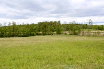 Działka z linią brzegową jeziora Wygryny w Wygrynach - zdjęcie 20