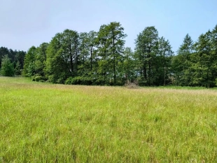 Działka z linią brzegową jeziora Wygryny w Wygrynach - zdjęcie 13