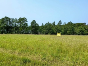 Działka z linią brzegową jeziora Wygryny w Wygrynach - zdjęcie 7