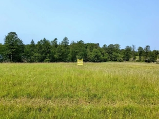 Działka z linią brzegową jeziora Wygryny w Wygrynach - zdjęcie 6