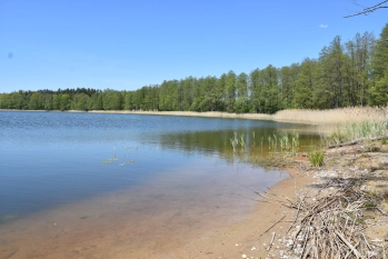 Działka rekreacyjna w Świętajnie powiat Olecki - zdjęcie 1