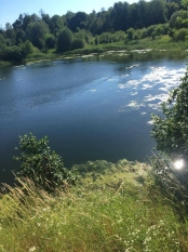 DZIAŁKA 29 ha GRZYBINY, DZIAŁDOWO, NIDZICA - zdjęcie 14