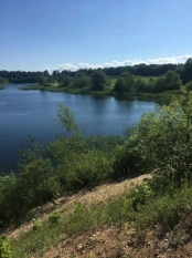 DZIAŁKA 29 ha GRZYBINY, DZIAŁDOWO, NIDZICA - zdjęcie 10