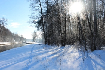 Działka rekreacyjna w Karwiku j. Seksty - zdjęcie 18
