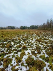 Działka rekreacyjna w Karwiku j. Seksty - zdjęcie 5