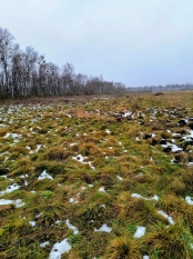 Działka rekreacyjna w Karwiku j. Seksty - zdjęcie 1