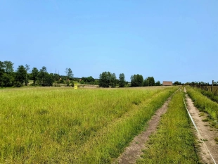 Działka z linią brzegową jeziora Wygryny w Wygrynach - zdjęcie 13