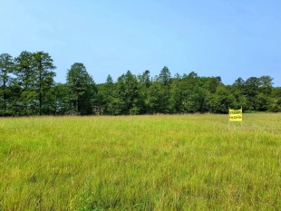 Działka z linią brzegową jeziora Wygryny w Wygrynach - zdjęcie 12