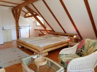 Agroturystyka Villa Maximilian - zdjęcie 4