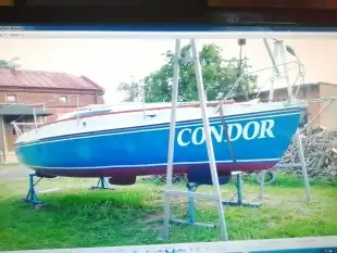 jacht zaglowy Condor 70 - zdjęcie 20