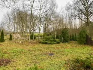 Urocze siedlisko na Mazurach! - zdjęcie 18