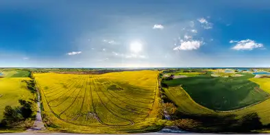 Pola kwitnącego rzepaku w okolicach wsi Upałty Małe