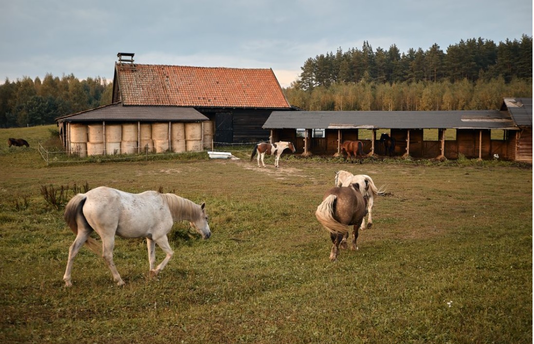 Niezwykłe miejsce na Mazurach. Poznajcie gospodarstwo Eulalii